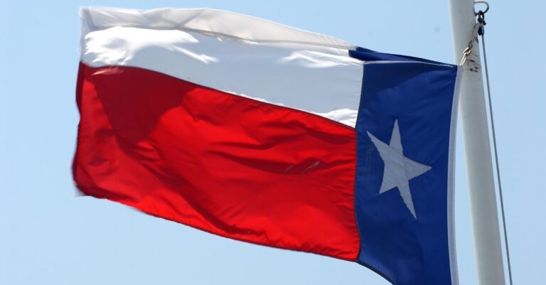 Texas flag (public domain image)