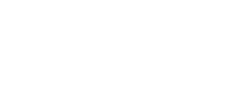 American Principles Project